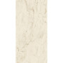 Atlas Concorde Marvel Pro Cremo Delicato 120x240 9 мм Lappato (AY2Q)