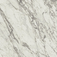Atlas Concorde Marvel Pro Statuario Select 120x120 Lappato 9mm (AY2T)