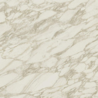 Atlas Concorde Marvel Royal Calacatta 50x120 (A4SL)
