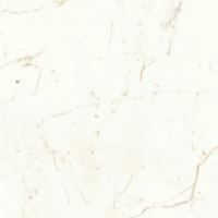 Atlas Concorde Marvel Shine Calacatta Prestigio 60x60 Silk 9mm (A5TD)