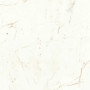 Atlas Concorde Marvel Shine Calacatta Prestigio 60x60 Silk 9mm (A5TD)