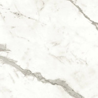 Atlas Concorde Marvel Shine Statuario Supremo 60x60 Silk 9mm (A5TE)