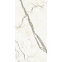Atlas Concorde Marvel Statuario Supremo 60x120 Matt 9мм (A4QY)
