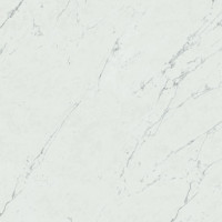 Atlas Concorde Marvel Stone Carrara Pure 60x60 Lappato 9мм (AZRL)