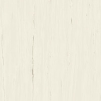 Atlas Concorde Marvel Stone Bianco Dolomite 120x120 Lappato 9mm (AZTT)