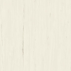 Atlas Concorde Marvel Stone Bianco Dolomite 120x120 Matt 9mm (A204)