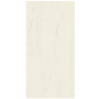 Atlas Concorde Marvel Stone Bianco Dolomite 120x278 Matt 6mm (A2RS)