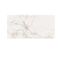 VENIS MASSA PUL. 58,6X118,7(A)