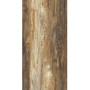 Fiandre MaximumEminentBrown6mmLuc.(EWL0261530)