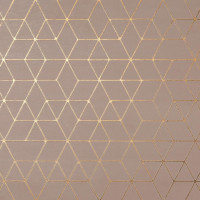 Atlas Concorde Mek Rose Hexagon 50x120 (A4T9)