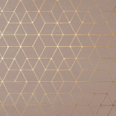 Atlas Concorde Mek Rose Hexagon 50x120 (A4T9)
