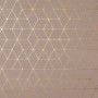Atlas Concorde Mek Rose Hexagon 50x120 (A4T9)