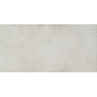 Arte Minimal szara LAP 59,8x29,8 Gat.1