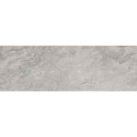 VENIS IMAGE SILVER (5P/C) 33,3X100(A)