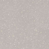 Paradyz MOONDUST SILVER GRES SZKL. REKT. POLPOLER 59,8X59,8 G1
