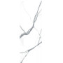 Laminam Naturali Statuario Altissimo lucidato 100x300, 5,6mm