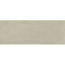 Naxos 93353 SURFACE ASH