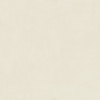 Naxos 94373 SURFACE CANVAS PAV.