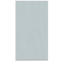 Casa Dolce Casa Neutra 6.0 10 Acquamarina 6Mm 120х240 Ret (749559)
