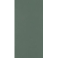 Paradyz NEVE CREATIVE DARK GREEN ŚCIANA MAT 9,8X19,8 G1