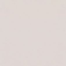Paradyz NEVE CREATIVE LIGHT GRYS GRES SZKL. MAT 19,8X19,8 G1