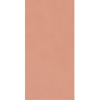 Paradyz NEVE CREATIVE BLUSH ŚCIANA POŁYSK 9,8X19,8 G1