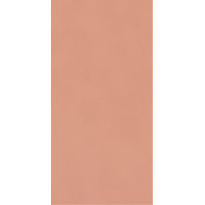Paradyz NEVE CREATIVE BLUSH ŚCIANA POŁYSK 9,8X19,8 G1