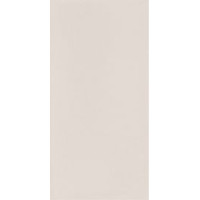 Paradyz NEVE CREATIVE LIGHT GRYS ŚCIANA POŁYSK 9,8X19,8 G1