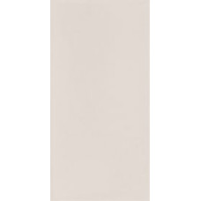 Paradyz NEVE CREATIVE LIGHT GRYS ŚCIANA POŁYSK 9,8X19,8 G1