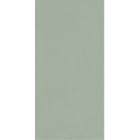 Paradyz NEVE CREATIVE GREEN ŚCIANA POŁYSK 9,8X19,8 G1