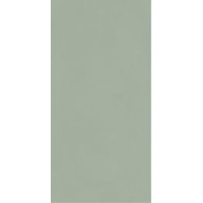 Paradyz NEVE CREATIVE GREEN ŚCIANA POŁYSK 9,8X19,8 G1