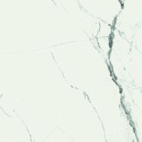 Fanal NEW ICE WHITE REC.