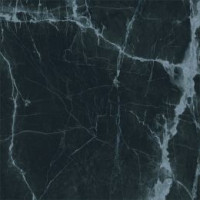 Fanal NEW ICE BLACK REC.