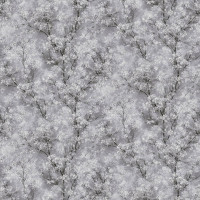 AS-Creation New Walls 37542-1