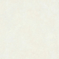 AS-Creation New Walls 37425-1