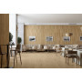 NEWKER WOODWORK OAK 20x120 (плитка для підлоги і стін)