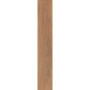 Atlas Concorde Nid Whisky 15x90 (D232)