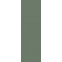 Paradyz NIGHTWISH GREEN SCIANA REKT. 25X75 G1