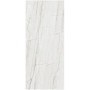 Ariana Nobile Montblanc 120х270 Lux 6мм (PF60006897)