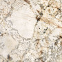 Ariana Nobile Blanc Du Blanc Ret 60х120 (PF60006320)