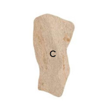 Atlas Concorde Norde Oro Path C 20mm 55х109, декор (A58R)