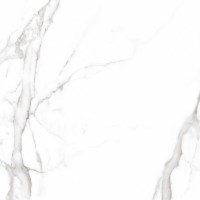 Керамогранит TEO CERAMICS CARRARA белый F P 60×60 R Full Lappato
