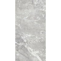 Керамогранит TEO CERAMICS SNAKE STONE Silver 60×120 R Sugar