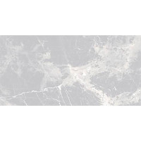 Керамогранит Benison CLEO серый CD795A глянцевая 60×120