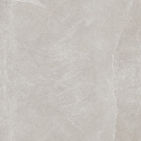 Керамогранит TEO CERAMICS LEON Silver F P 60×60 R матовый