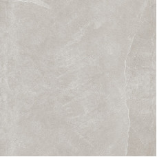 Керамогранит TEO CERAMICS LEON Silver F P 60×60 R матовый
