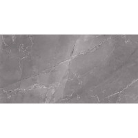 Керамогранит Benison LUZON DARK серый Pol. 60×120