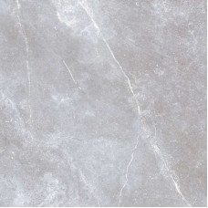 Керамогранит Golden Tile SPACE STONE Рект. Мат Серый 60×60 (8 мм)