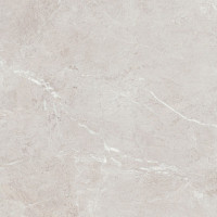 Керамогранит TEO CERAMICS ARBER Silver F P 60×60 R матовый