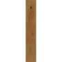 Kerlite CottoD’Este Oak Gold 20x120 см 6 мм, RTT (BG0GW251)